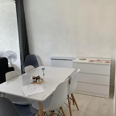 Le Lamartine, Vue Magnifique Face Au Du Bourget *