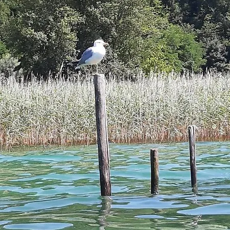 Le Lamartine, Vue Magnifique Face Au Du Bourget *