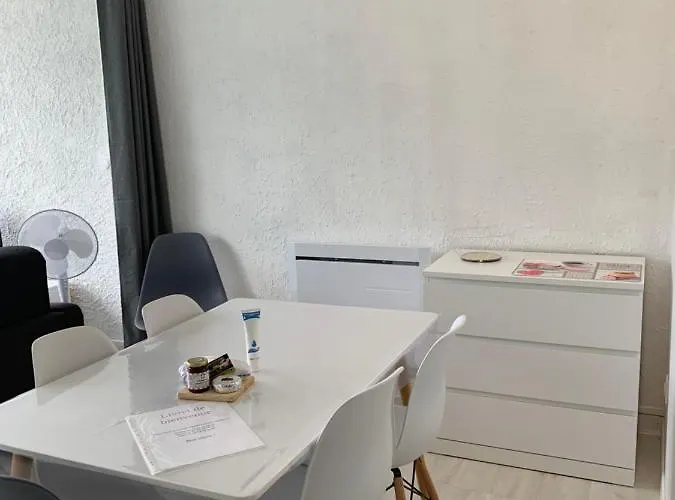 Le Lamartine, Vue Magnifique Face Au Du Bourget *