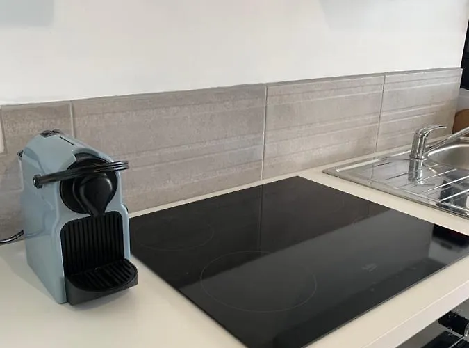 Le Lamartine, Vue Magnifique Face Au Du Bourget *