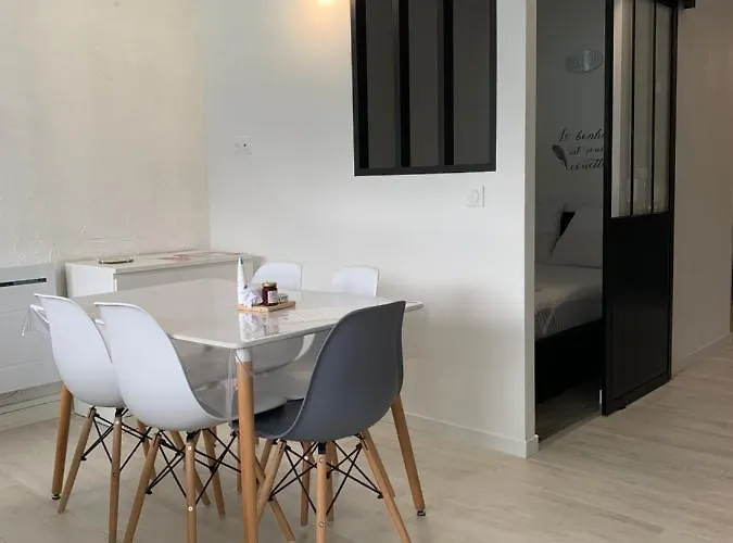 Le Lamartine, Vue Magnifique Face Au Du Bourget *