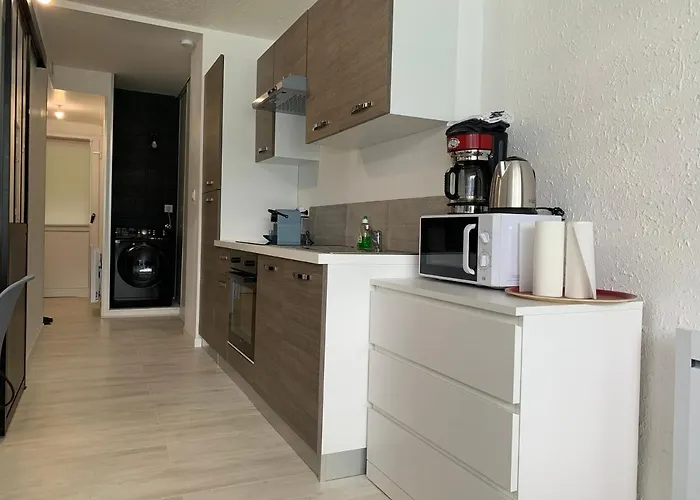 Le Lamartine, Vue Magnifique Face Au Du Bourget شقة *