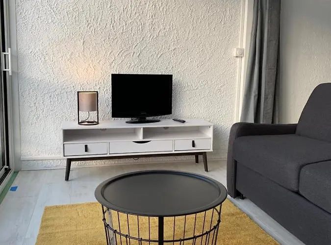 Le Lamartine, Vue Magnifique Face Au Du Bourget *